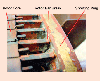 A rotor from an electric motor which has had contact damage is shown. Rotor bars have been broken, one of the two rings has experienced shorting leading to surface ablation of the conductive coating, and the rotor core also shows wear.