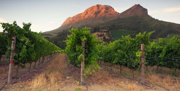 Jackson-Family-Wines-1080x549