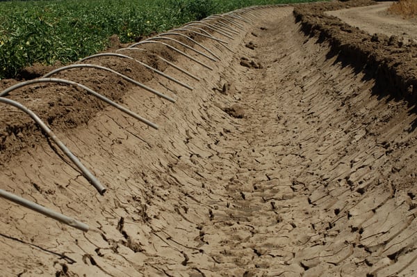 pjh_irrigation_0008