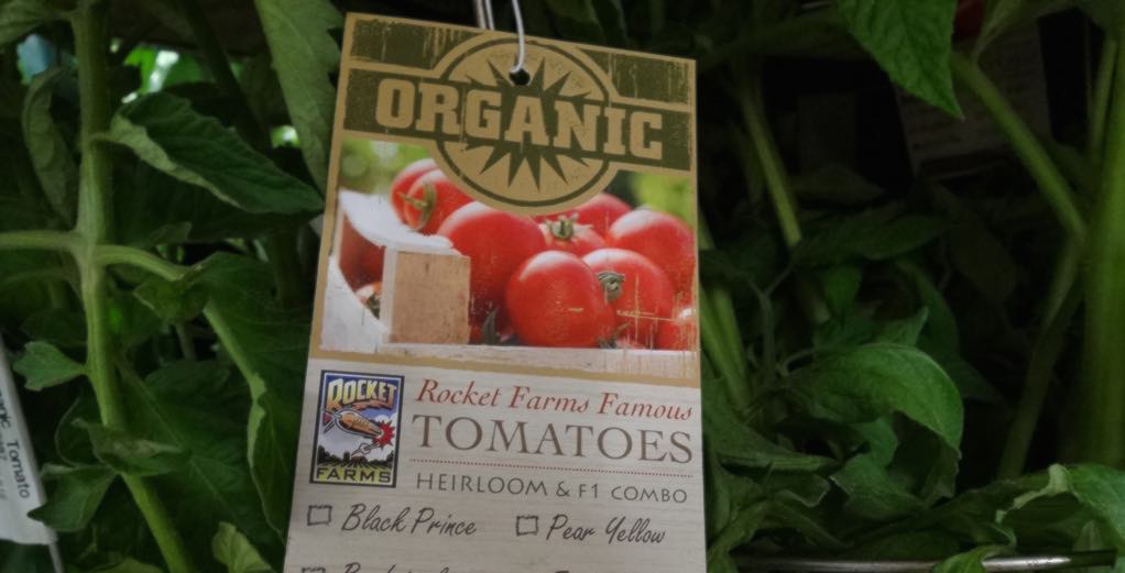 Rocket-Farms-Organic-Tomatooes